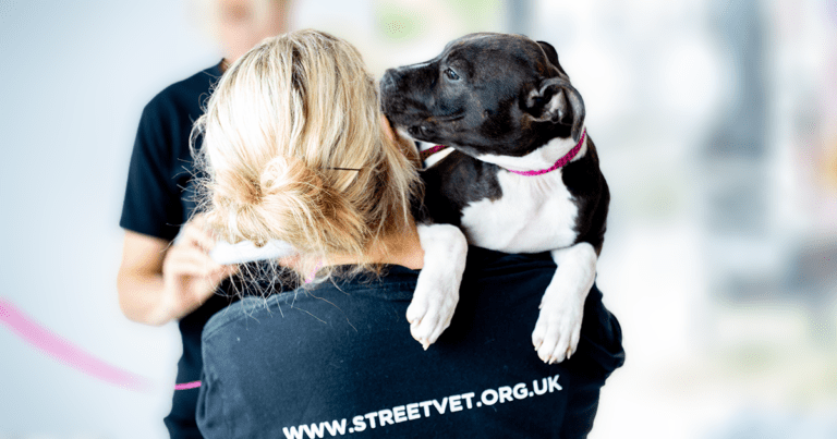 VetPartners Makes StreetVet Its Charity For 2024 Vet Times   A Streetvet Cornwall Behind The Scenes C Love Phodography 6893 768x403 