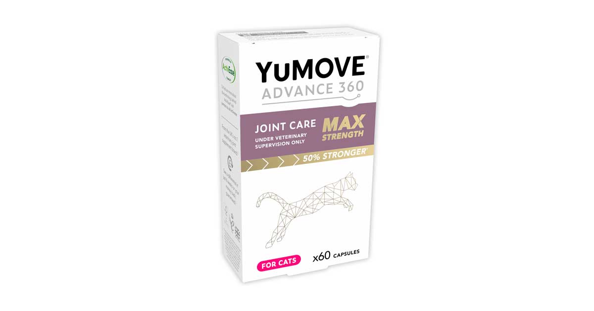 Yumove best sale advance online