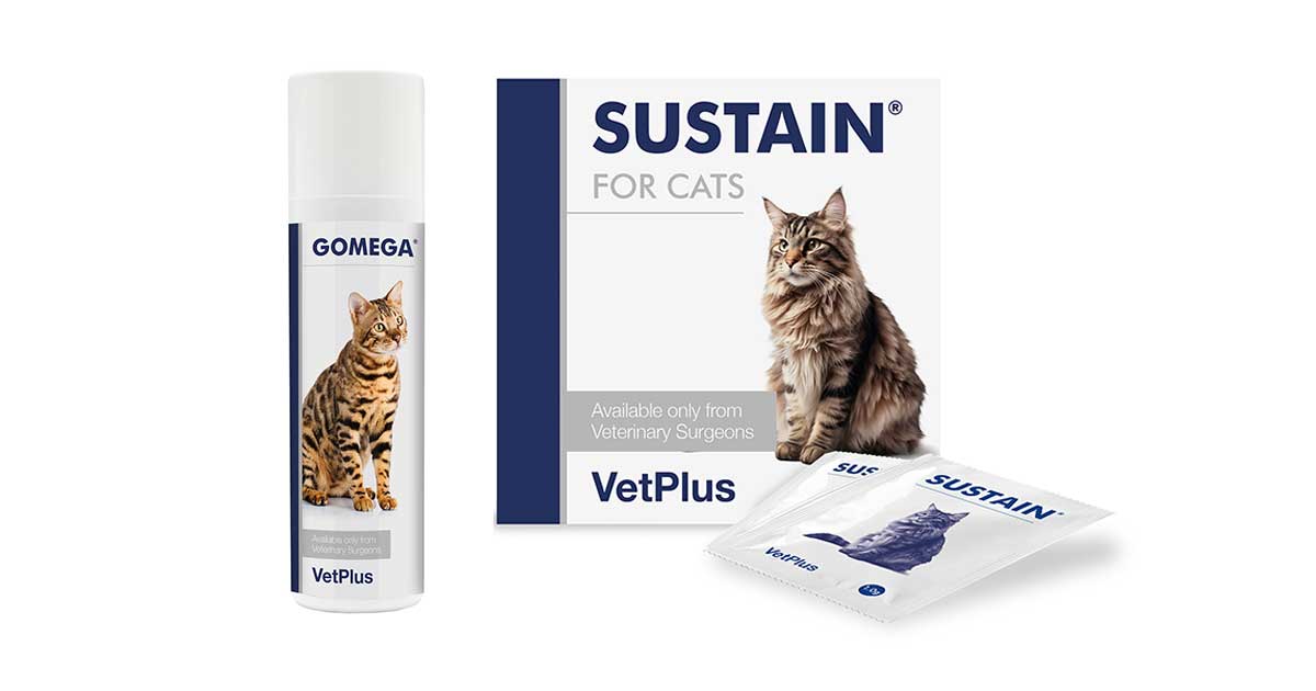 VetPlus launches two supplements for cats Vet Times