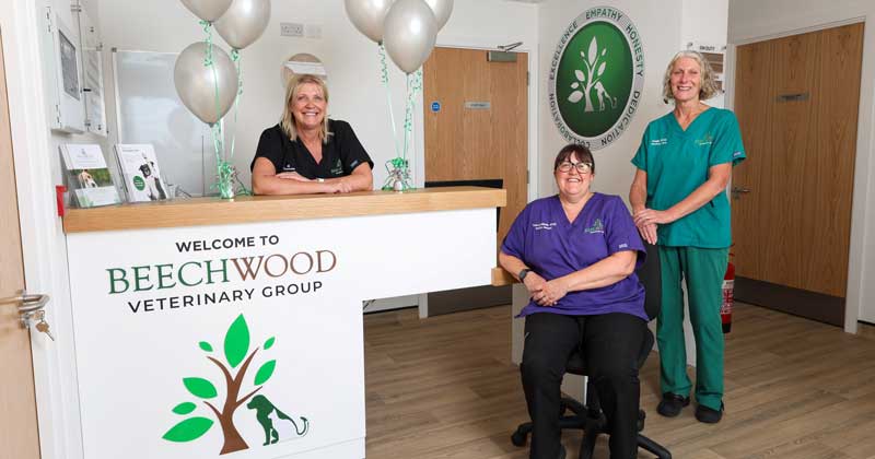 From left: receptionist Jill Cass with practice manager Kelly Mann and RVN Angie Shaw at the revamped Beechwood Vets Garforth. Image © Beechwood Vets/VetPartners