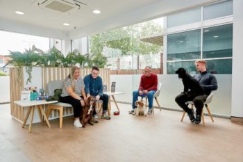 The new Denton practice. Image: © Gourley Veterinary Surgeons.