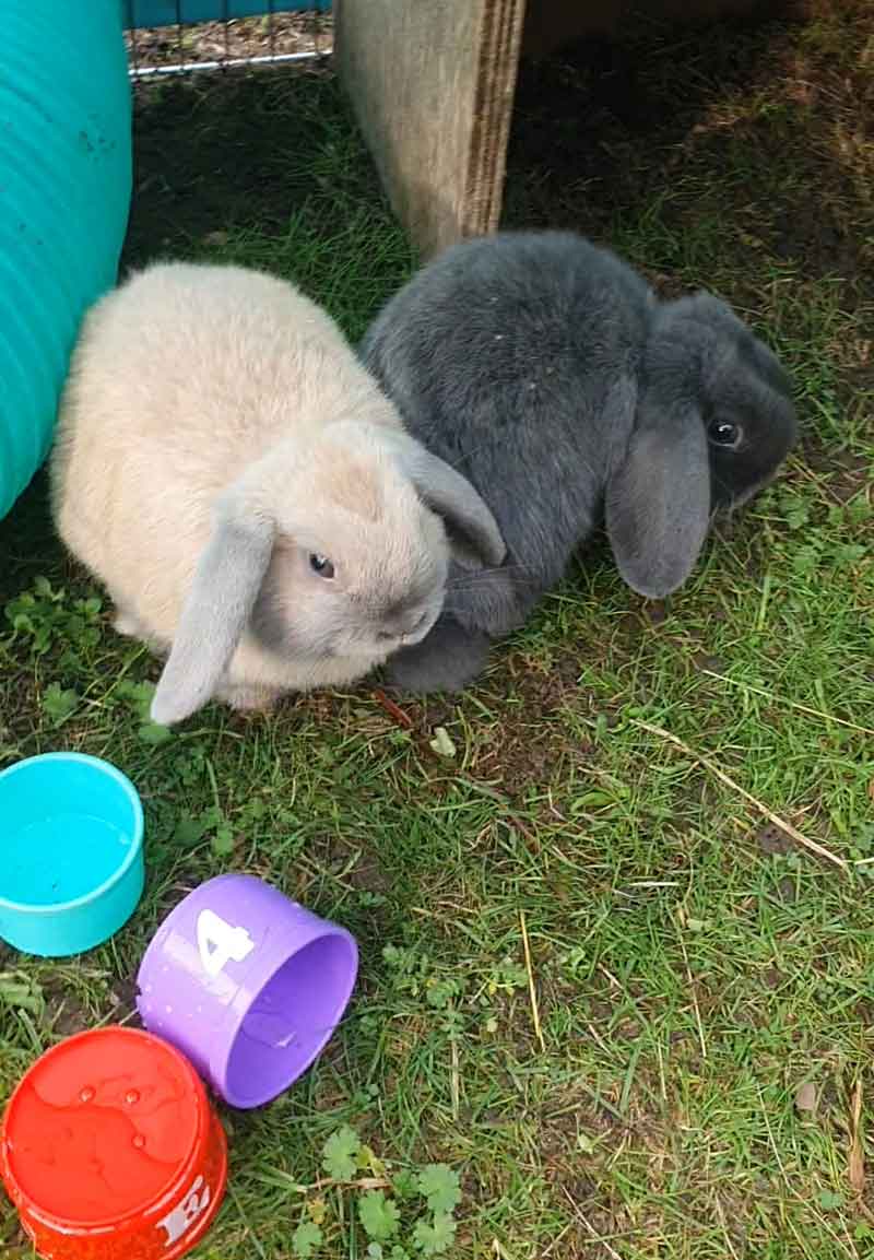 Morse and his companion in the garden.