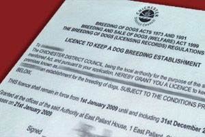 how much is a dog breeding licence