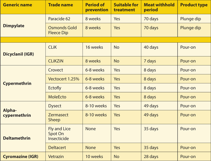 CUTANEOUS MYIASIS IN SHEEP: TREATMENT AND MANAGEMENT | Vet Times